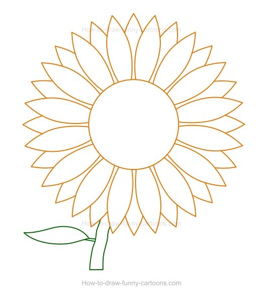 520x581 To Draw A Sunflower
