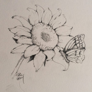 300x300 Sunflower And Butterfly Graphite Pencil Drawing Print Machine