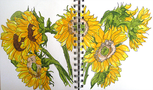600x353 More Sunflowers Sketch Away Travels With My Sketchbook