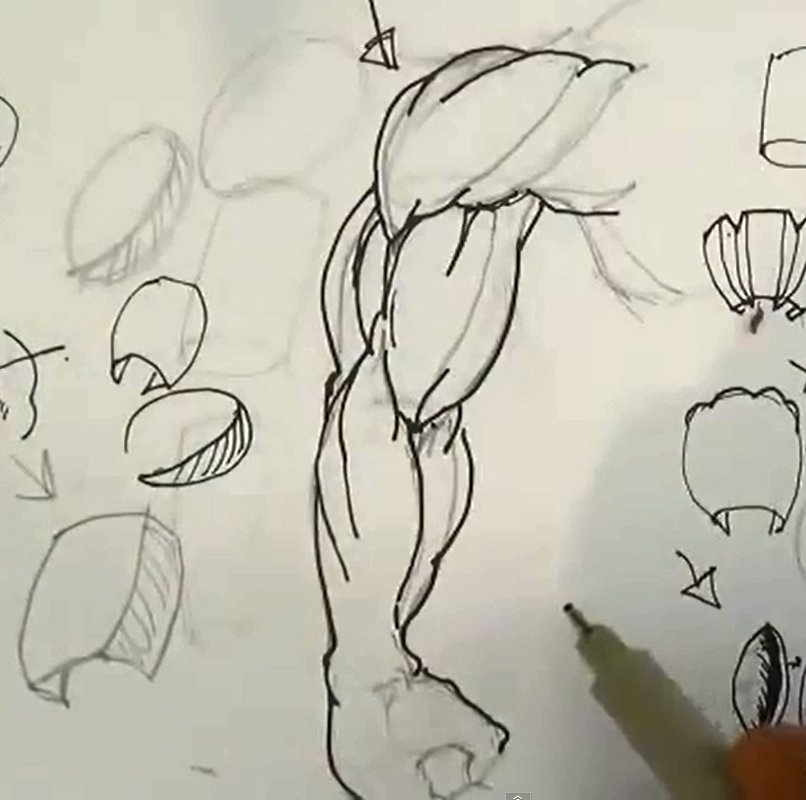 806x800 Comic Book Video Tutorials How To Draw Superhero Arms