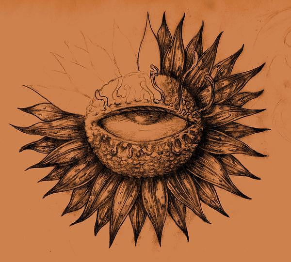 600x541 Second Sight Drawing By Will Le Beouf