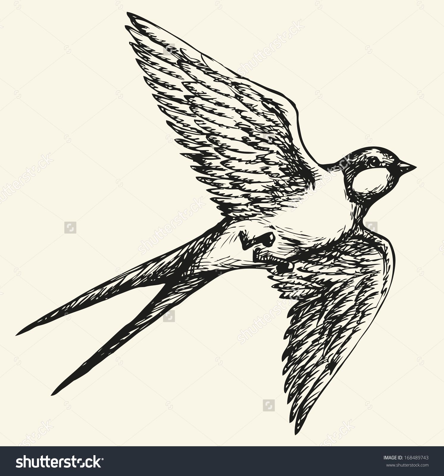 1492x1600 Birds Stock Vectors Amp Vector Clip Art Shutterstock Images