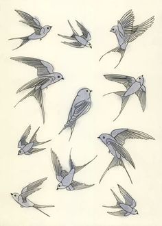 236x330 Flying Swallow Drawing Swallow Drawings Embroidery Tattoo