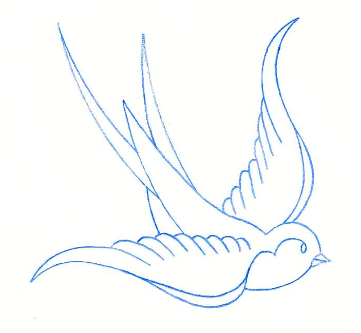 Swallow Bird Drawing at GetDrawings | Free download