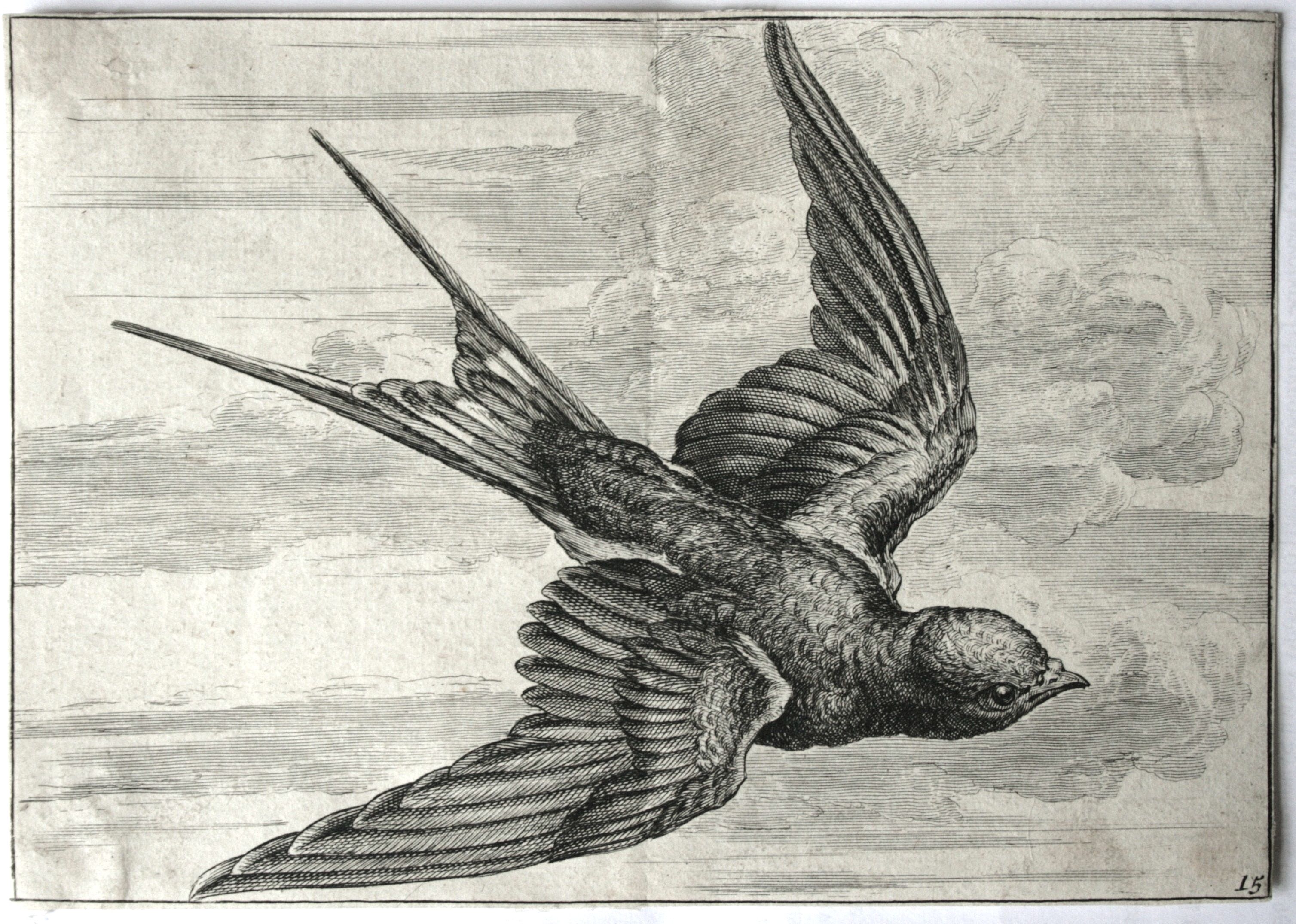 3016x2153 Swallow Draw