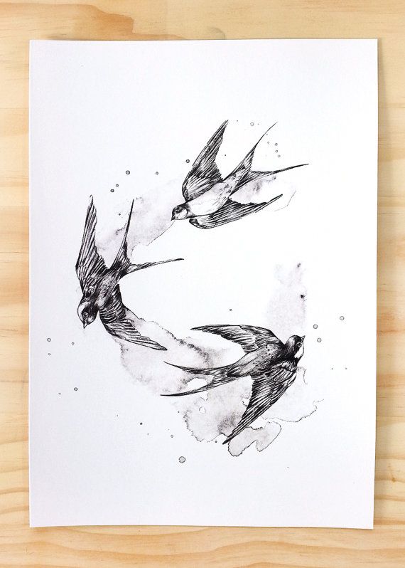 570x798 Black Swallows Bird Print A4