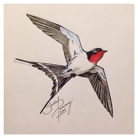 480x480 Image Result For How To Draw A Swallow Tattoo