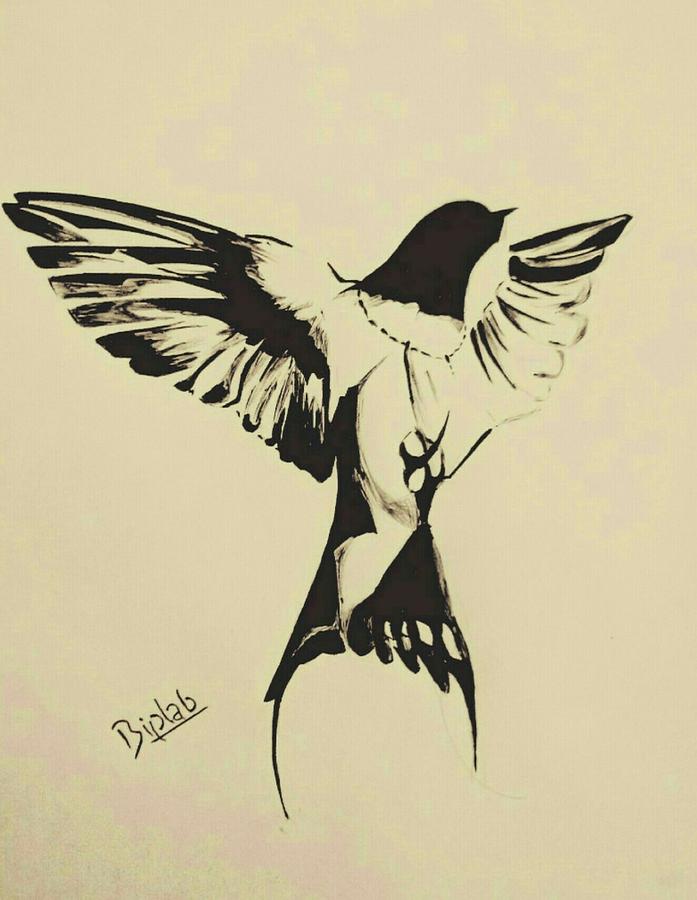 697x900 Swallow Drawing By Biplab Basumatary