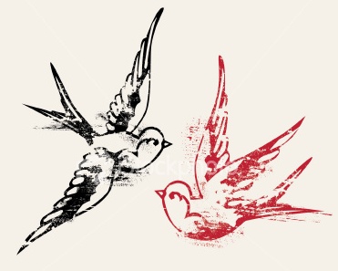 371x297 42 Best Swallows Amp Images On Swallows, Birds