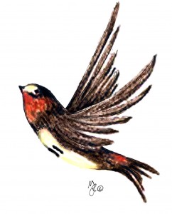 242x300 Swallows Mfr Artwork