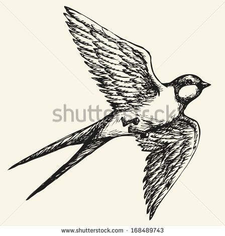 448x470 Vector Drawing Of A Series Of Monochrome Sketches Birds