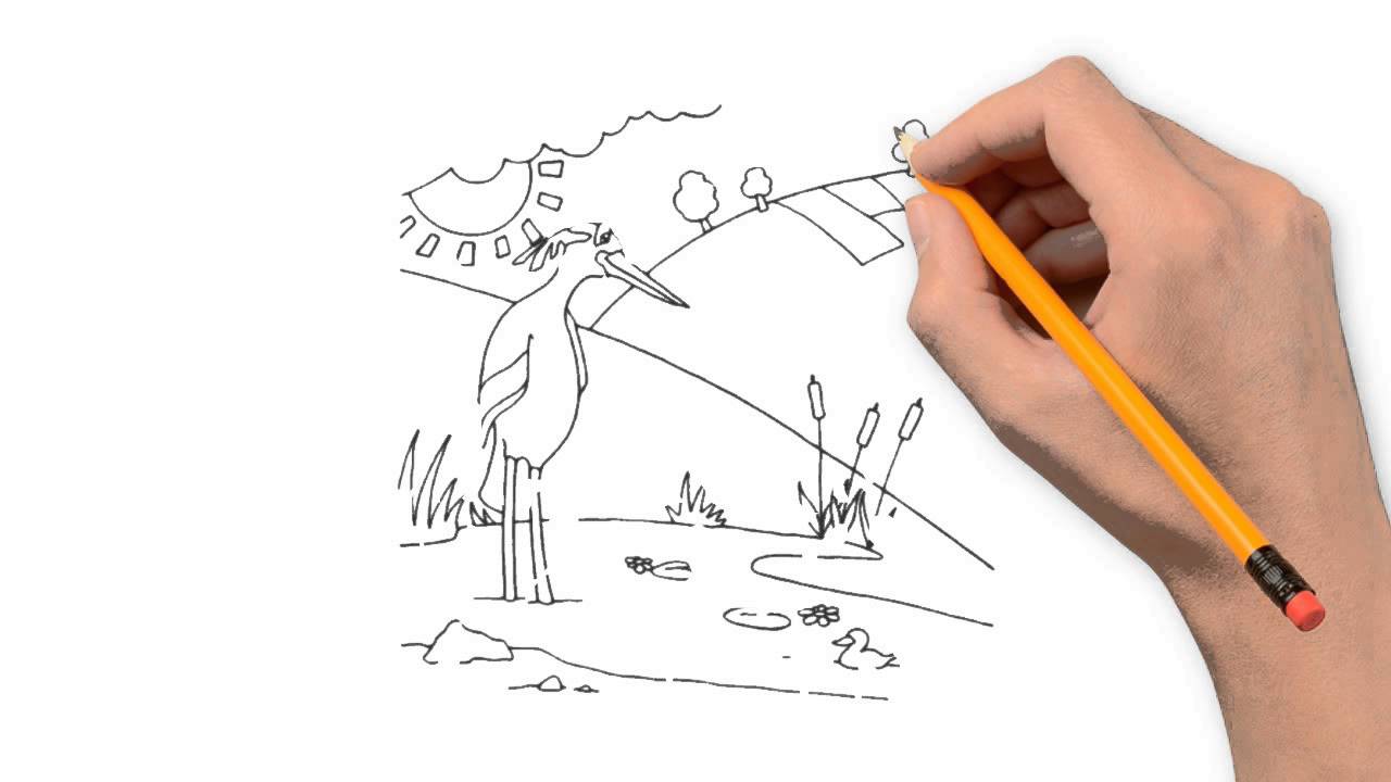 1280x720 Swamp Nature Pencil To Draw Step By Step