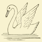 139x138 Swan Drawing