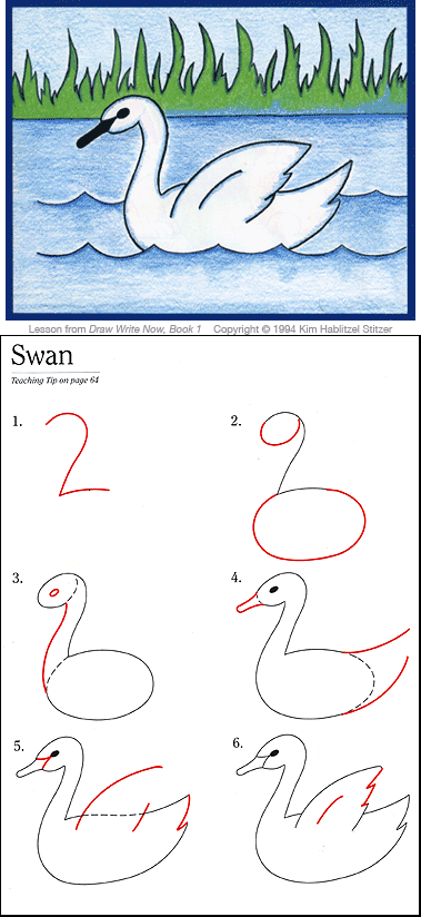 379x824 Swan Lesson, Draw Write Now, Book 1