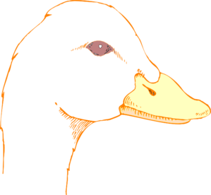 299x276 Duck Head Drawing Clip Art