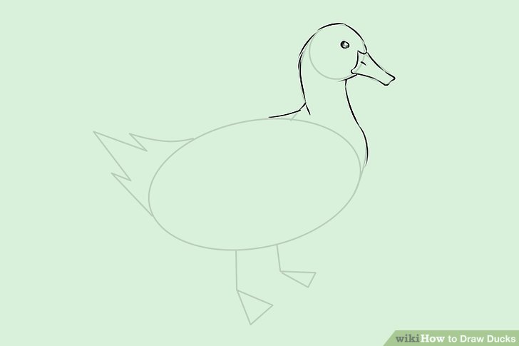 728x485 How To Draw Ducks (With Pictures)