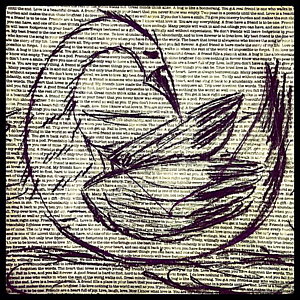 300x300 Swan Heart Drawings Fine Art America