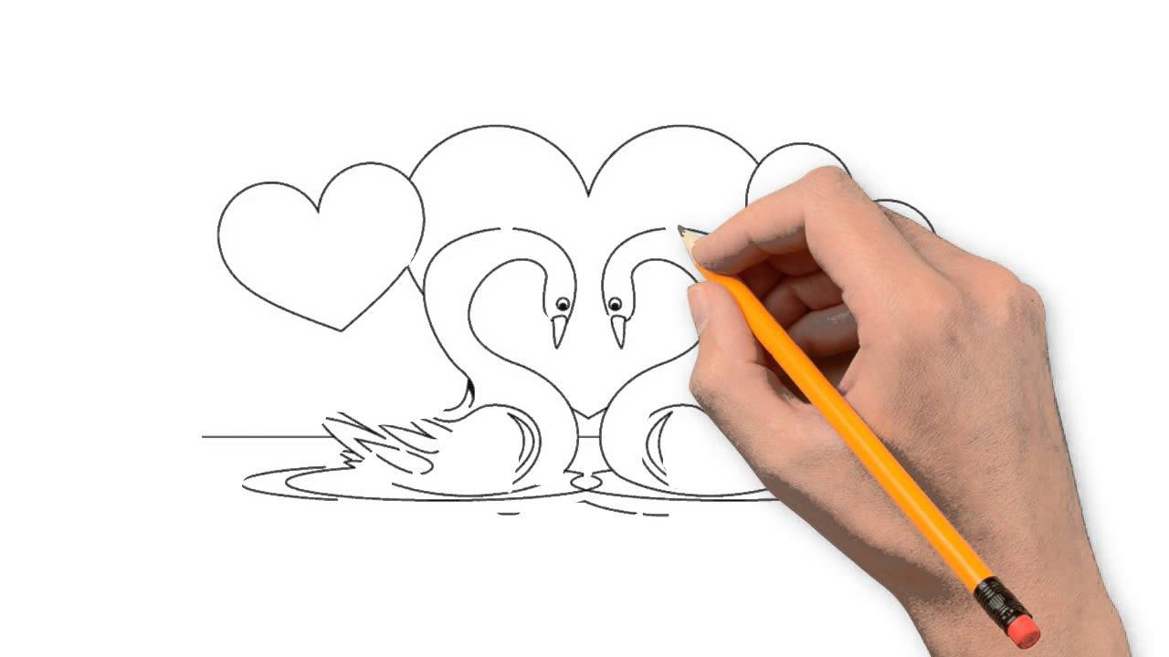 1280x720 Swan Animals Pencil To Draw Step By Step