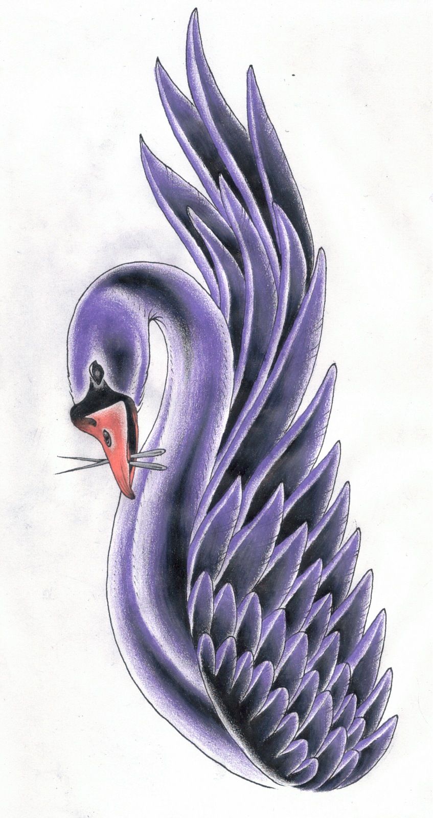 847x1599 Swan Tattoos For Women View Full Size Ink Ink Ink