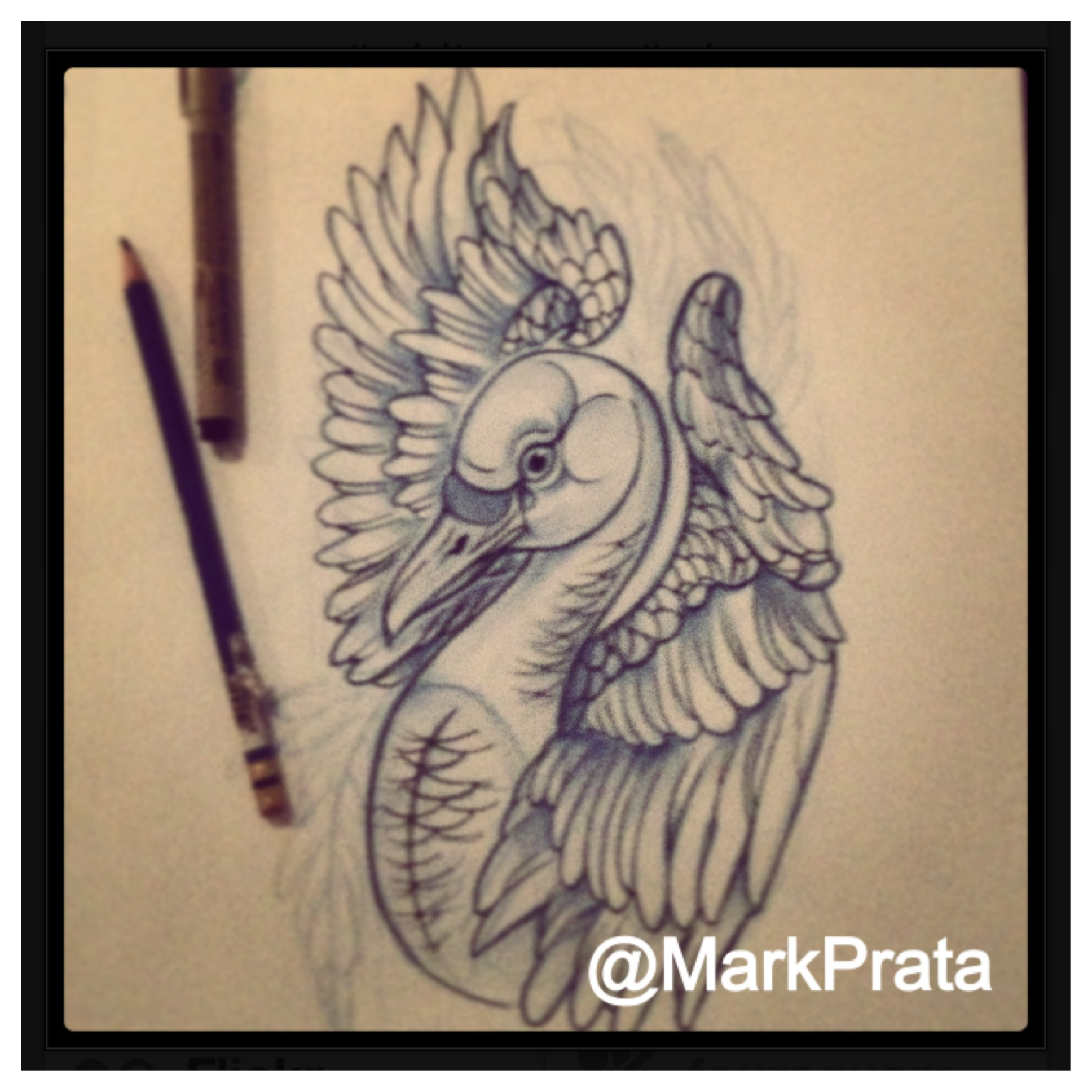 1936x1936 White Swan Tattoo Sketch Artwork Mark Prata Portfolio