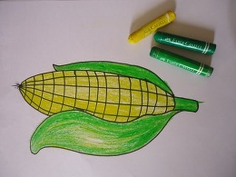480x360 Drawing For Kids,sweet Corn Yummy