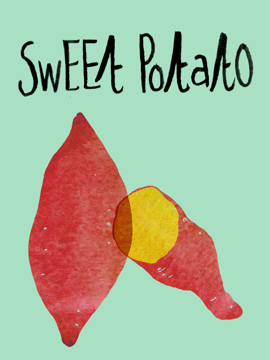 900x1200 Vegetable Of The Week Sweet Potato Claudia Pearson Illustration