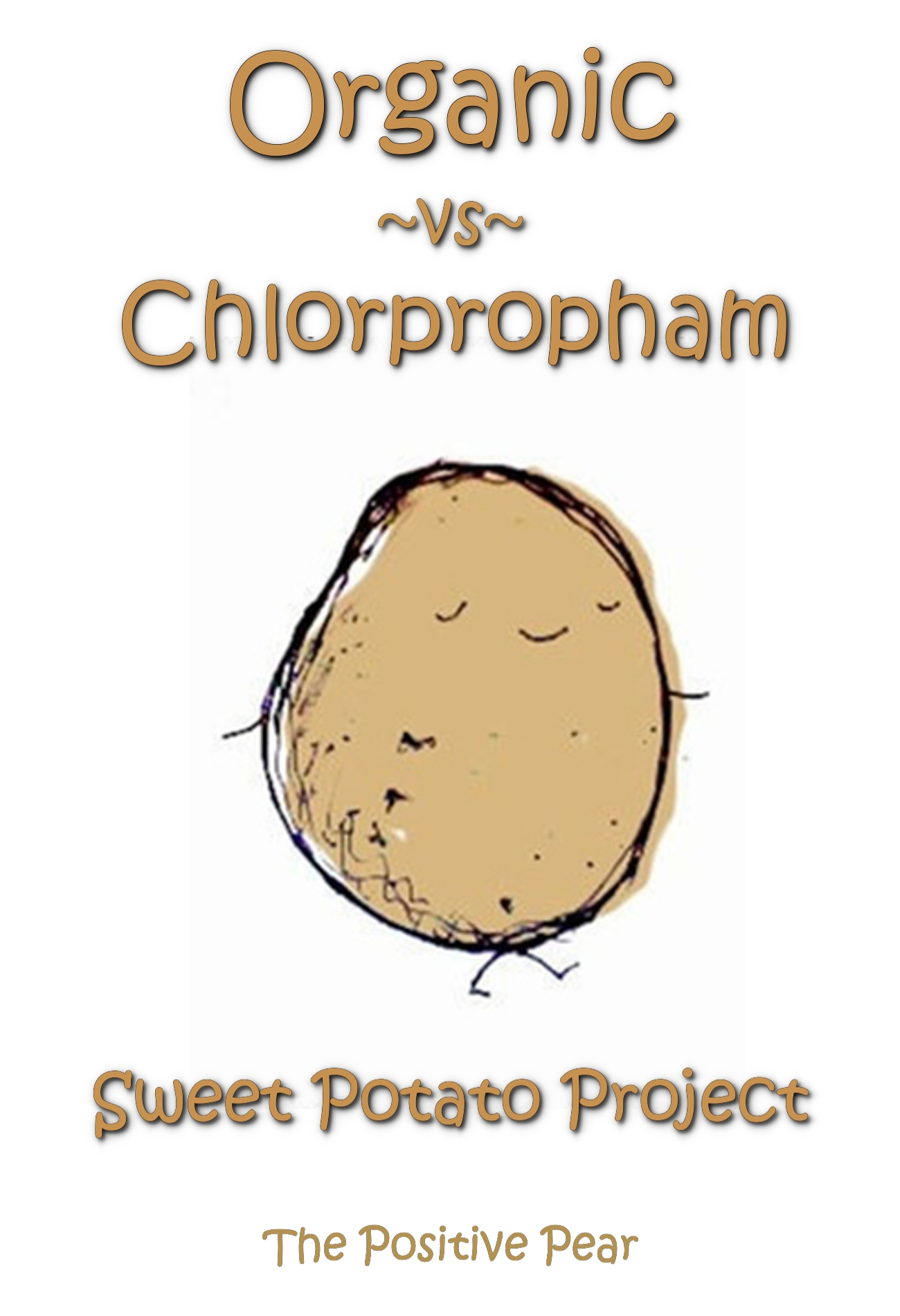 1300x1900 Would You Like A Little Chlorpropham With Your Sweet Potato