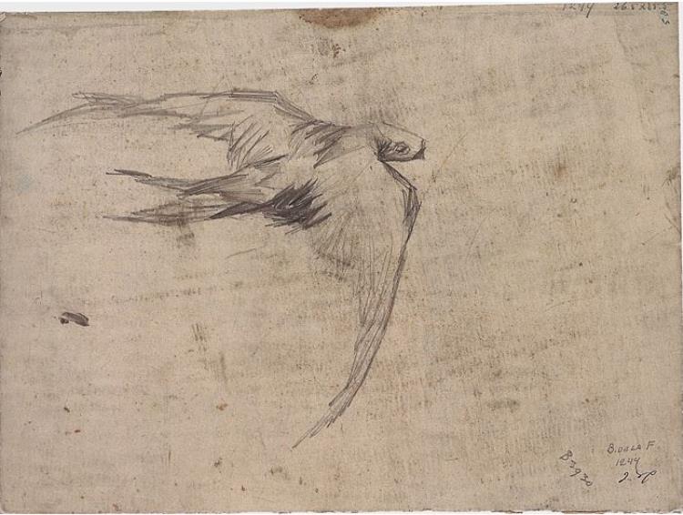 750x566 Swift By Vincent Van Gogh