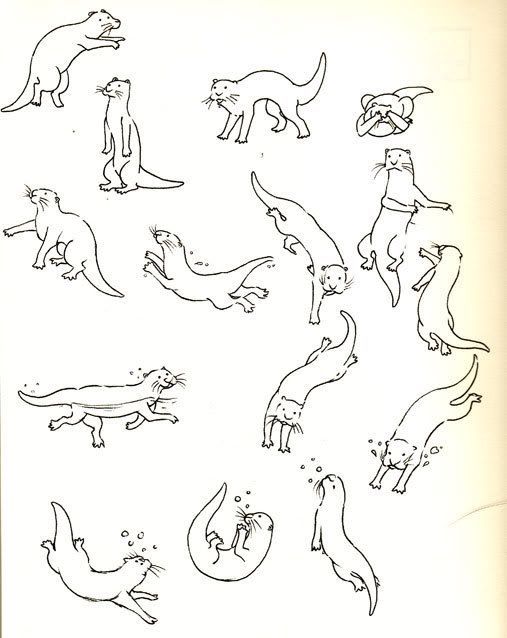 507x638 How To Draw Otters