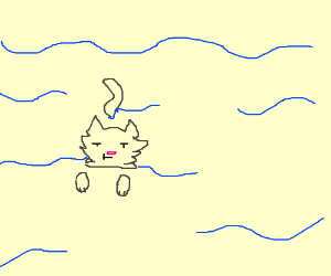 300x250 A Cat Swimming