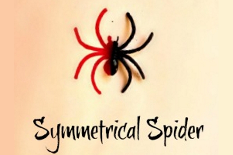 960x640 Symmetry Drawing