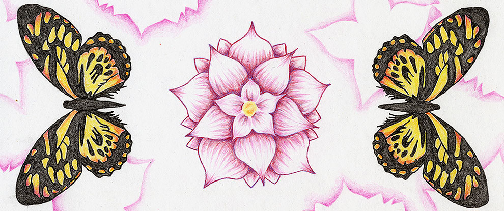 990x415 Symmetry Drawing