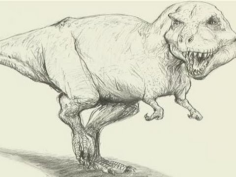 480x360 How To Draw A T Rex