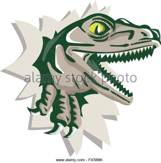 531x540 T Rex Head Stock Vector Images