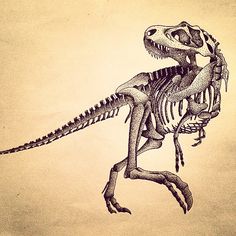 236x236 T Rex Skeleton Dinosaurs Wall Art Sticker Wall Decal Transfers