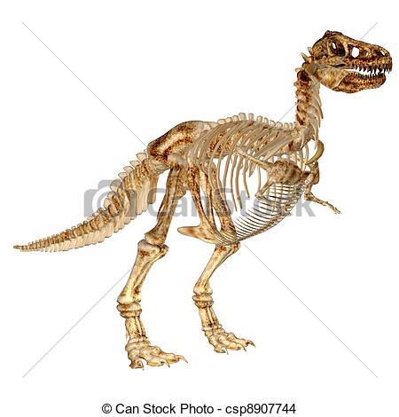 450x470 Tyrannosaurus Rex's Skeleton. Illustration Of A Drawing