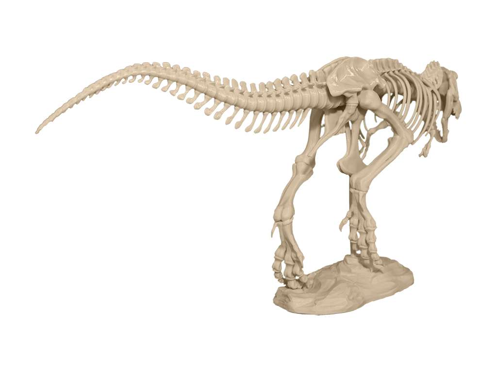 1024x768 You Can Now 3d Print Your Own 79 Piece T Rex Skeleton Amp Remix It