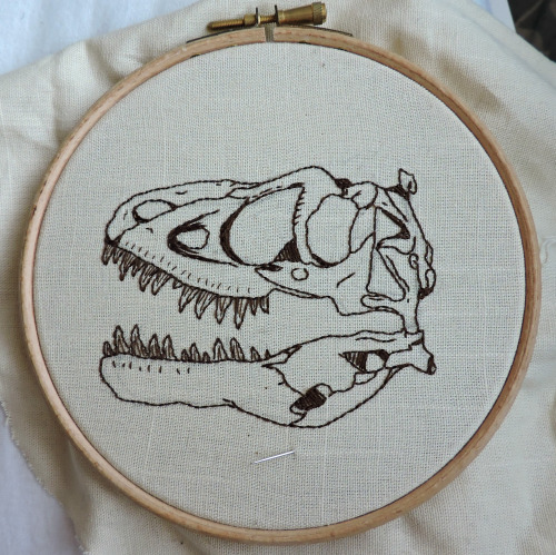 500x499 T Rex Skull Tumblr
