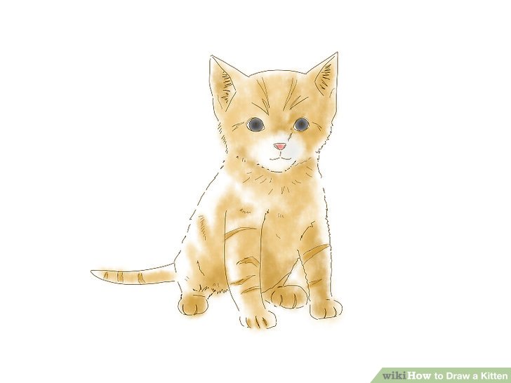 728x546 4 Ways To Draw A Kitten