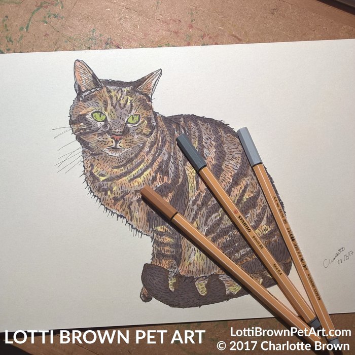 700x700 Tabby Cat Art