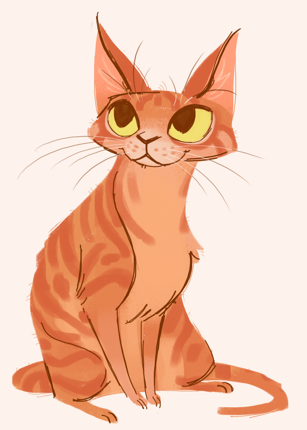 1280x1792 253 Orange Tabby. If I Were A Cat I Have A Feeling This Would