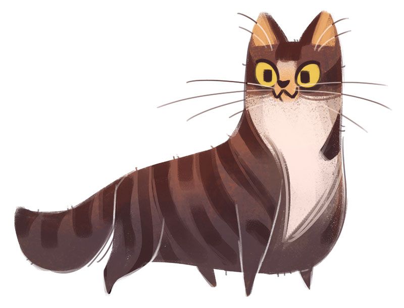 800x610 329 Tabby By Daily Cat Drawings On Tumblr