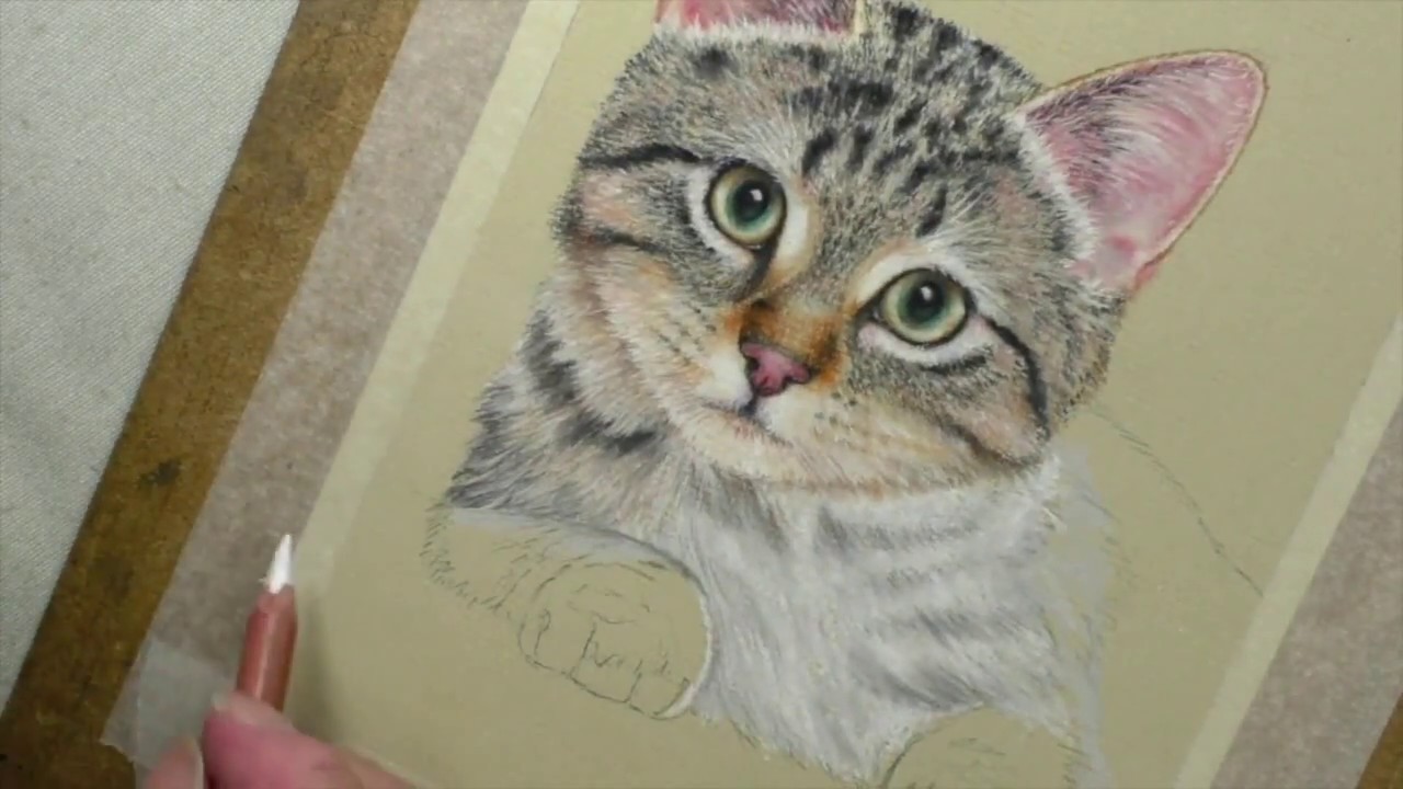 1280x720 Drawing Tabby Kitten Fur Pastel Pencils