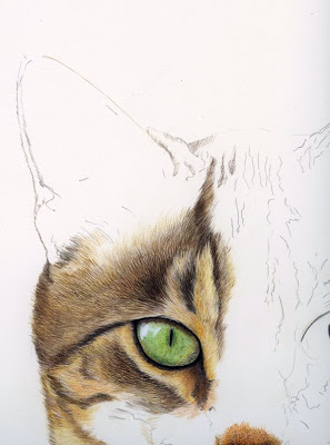 297x400 Fur In The Paint Watercolour Tabby Cat Continued