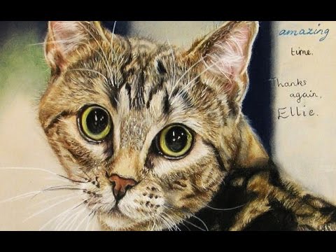 480x360 Speed Drawing