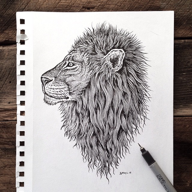 640x640 Samlarson's Photo