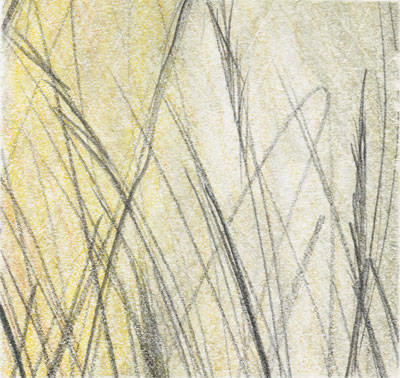 400x378 The Tool Of Drawing