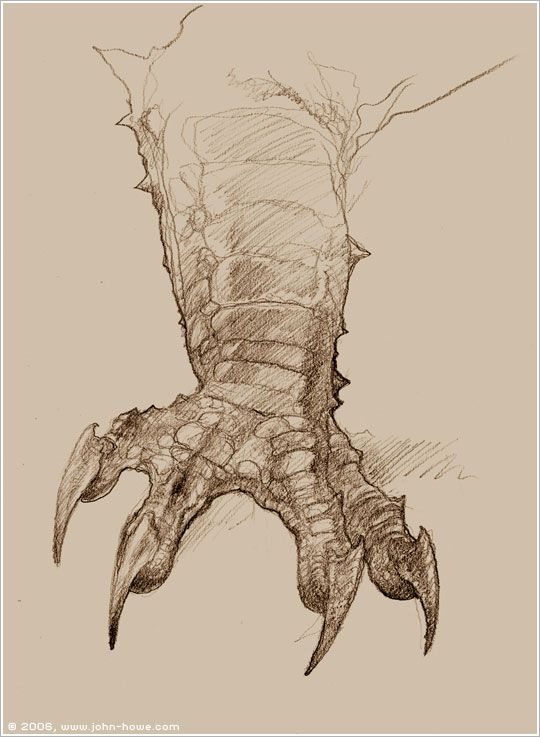 540x737 Pin By Character Design References On Creature Design Dragons