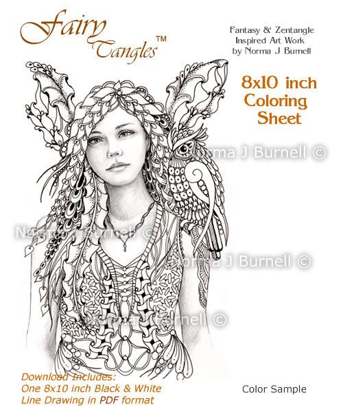 500x600 Fairy And Owl Fairy Tangles Adult Coloring By Fairytangleart