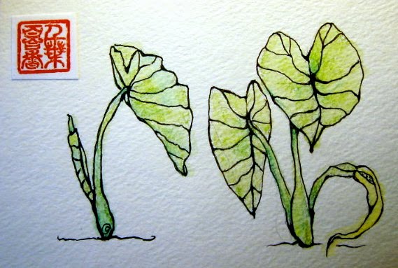 569x383 I Make Things Out Of Paper. Taro Leaves
